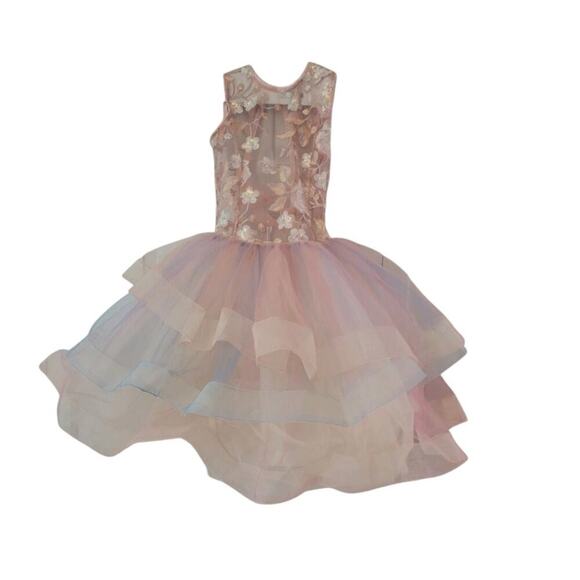 Revolution Dancewear Meadow Garden Ballet Costume Tutu Dress Pink Floral - Picture 3 of 10